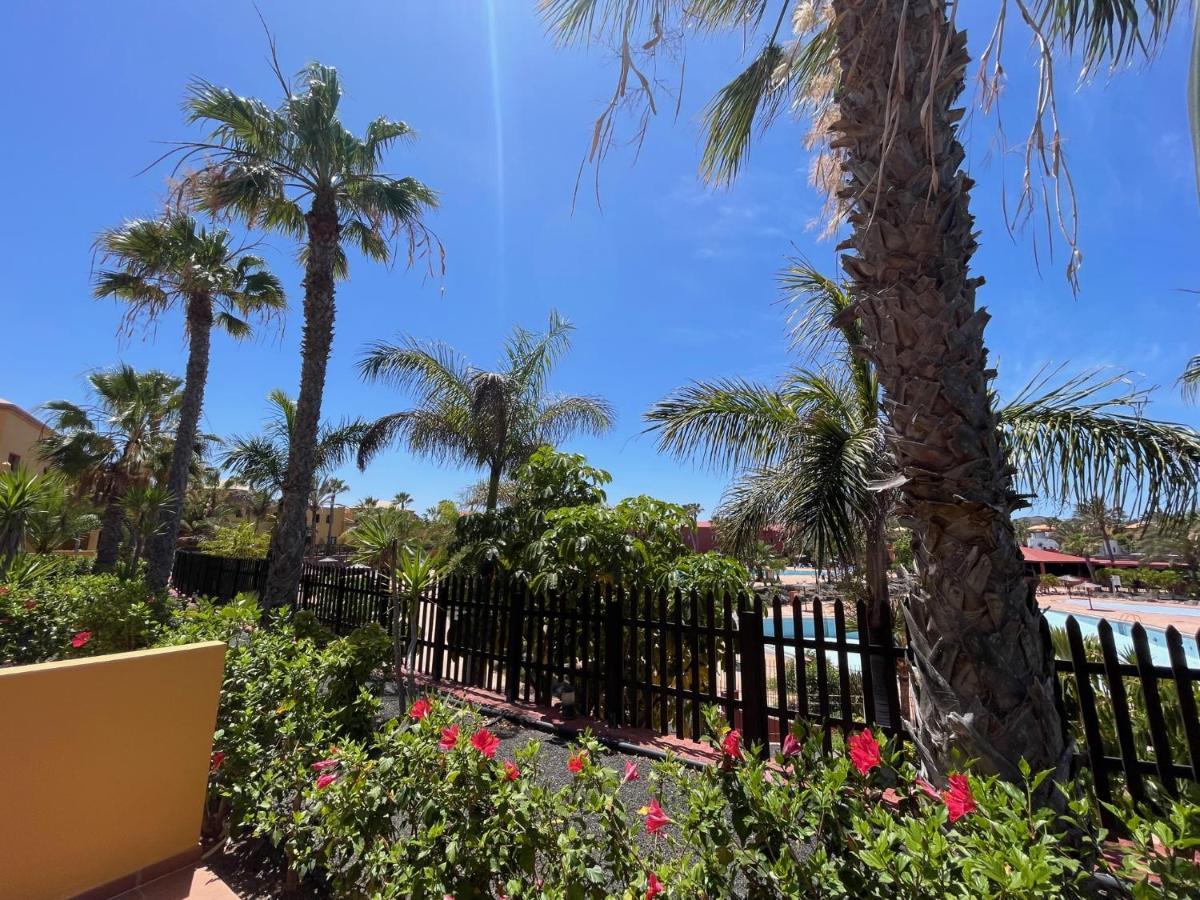 My Pretty Home - Lovely And Spacious Surrounded By Tropical Gardens - Private Covered And Uncovered Terrace - Pool - Parking - Free Fibre Optic Internet Corralejo Exteriér fotografie